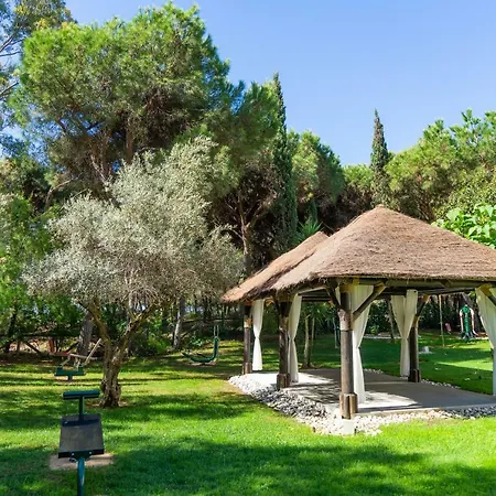 Tui Blue Palace - Adults Recommended 5*