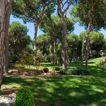 Tui Blue Palace - Adults Recommended 5*